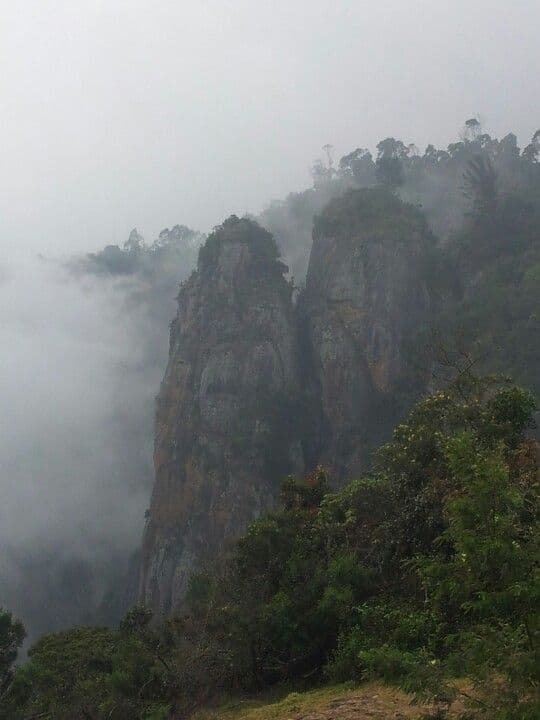 04 Nights 05 Days Ooty & Kodaikanal Tour Package from Coimbatore
