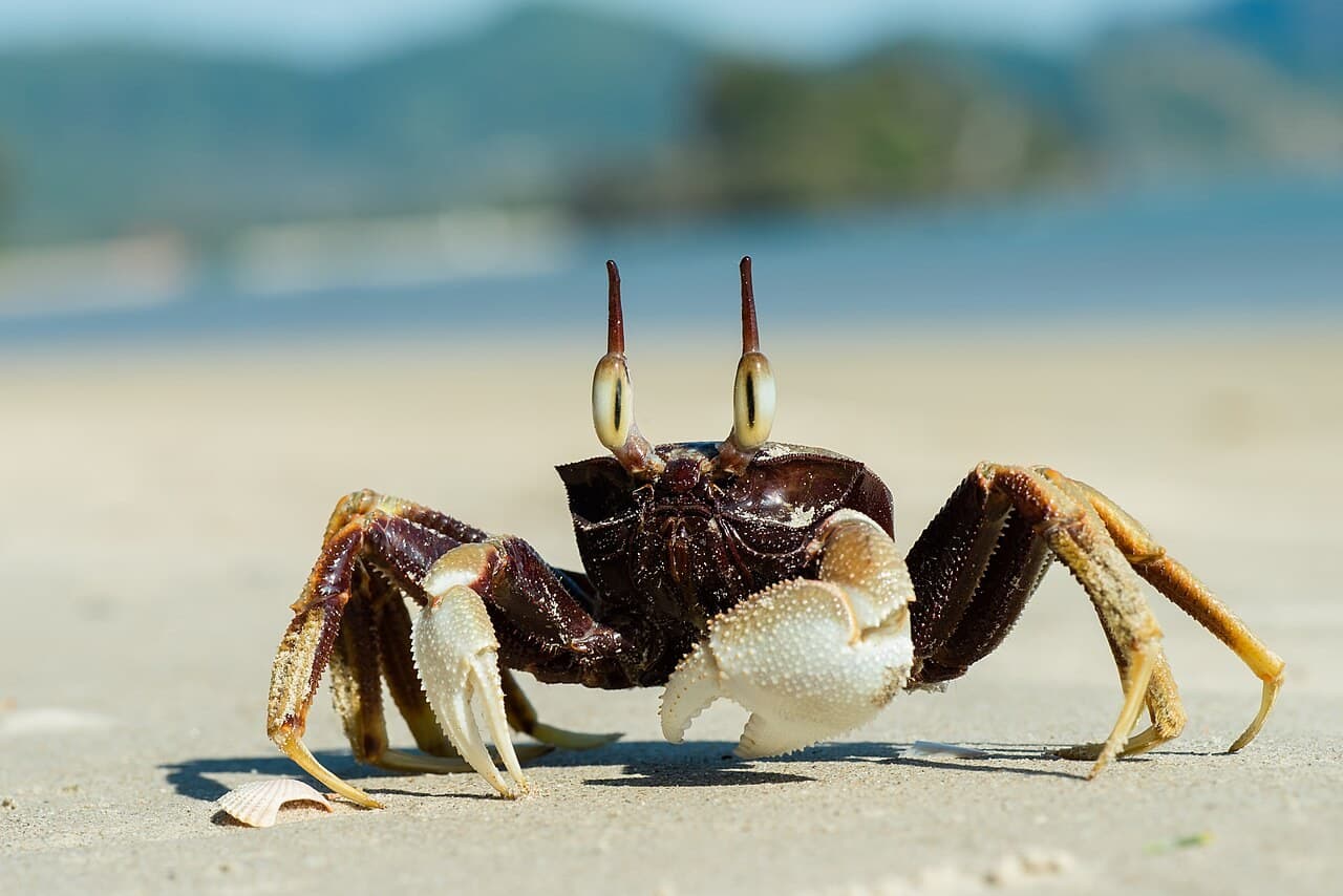 Krabi, Thailand